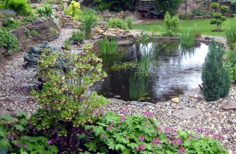 Gartenteich